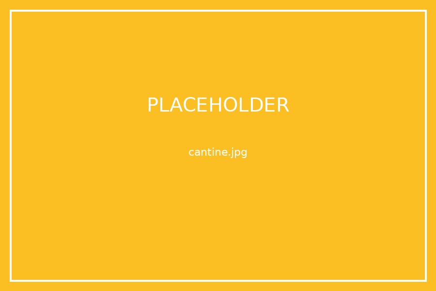 Informations pratiques