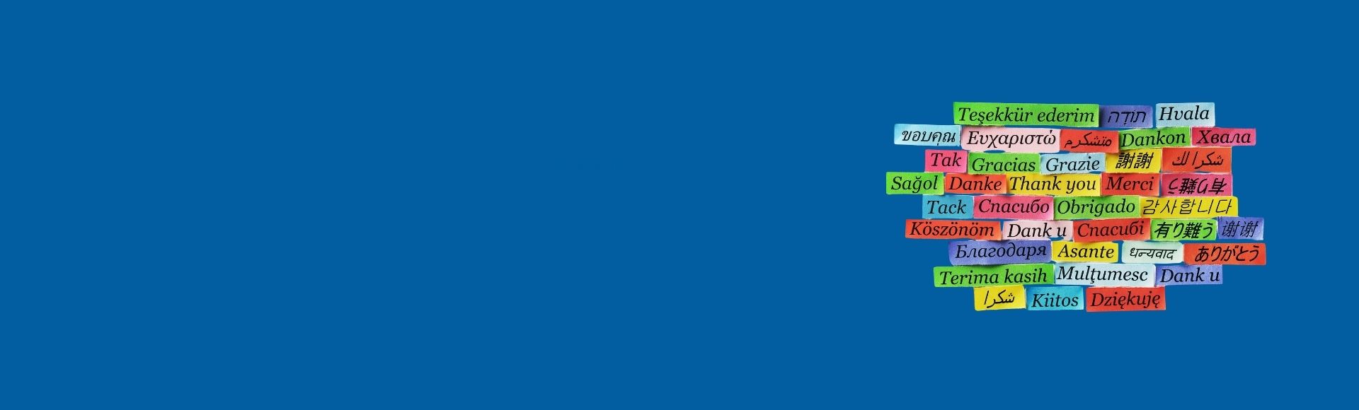 Politique des langues